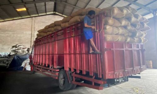 Cahaya Indonesia Timur Galeri (1) Cahaya Indonesia Timur Galeri (1)