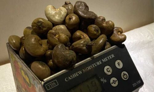 Cahaya Indonesia Timur Galeri (3)