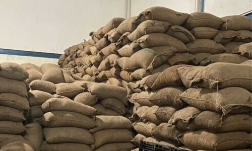 Cahaya Indonesia Timur Galeri (4)