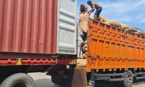 Cahaya Indonesia Timur Galeri (8) Cahaya Indonesia Timur Galeri (8)