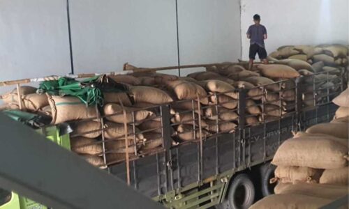 Cahaya Indonesia Timur Galeri (9) Cahaya Indonesia Timur Galeri (9)