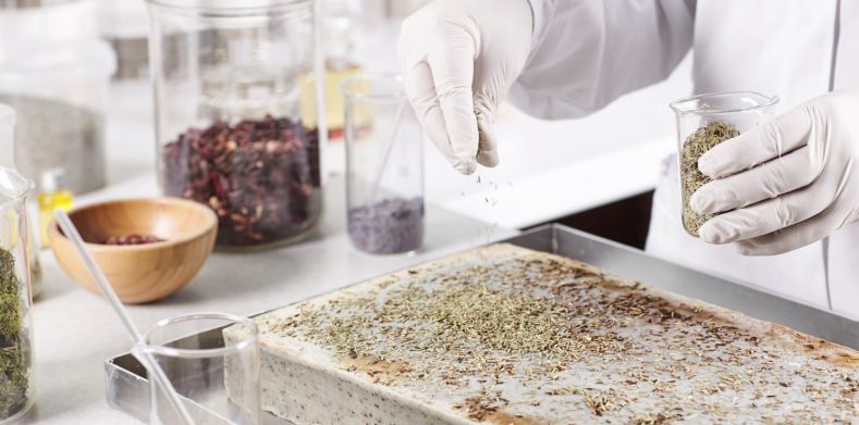 Cahaya Indonesia Timur foto 4