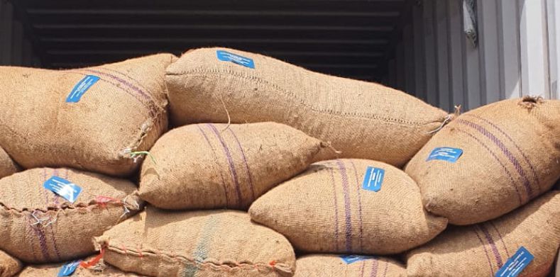 Cahaya Indonesia Timur foto 6